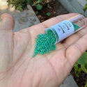 7.5g Miyuki Delica 11/0 Seed Beads, Translucent Matte Rainbow Green DB858