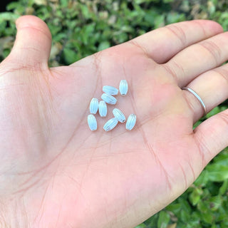 50pcs Tarnish Resistant Corrugated Oval Beads, Sterling Silver Plated Brass, Size Selections: 7x4mm, 10x6mm, 12x8mm