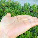 20pcs 925 Sterling Silver Open Jump Rings, Real 18K Yellow Gold Plated, 0.8mm/20 Gauge, Size Selections: 4/6/8/10/12mm