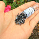 10g Miyuki Quarter Tila Seed Beads 5x1.2mm, Opaque Light Gunmetal (QTL-464)