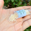 30g Miyuki Delica 11/0 Seed Beads, Ivory-Lined Luster Crystal Clear DB2371