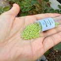 30g Miyuki Delica 11/0 Seed Beads, Opaque Glazed Luster Chartreuse DB262