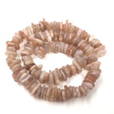 Natural Gold Sunstone Gemstone Flat Coin Chip Beads, Irregular, 7mm-10mm, Hole ID 1mm, 15 Inch/1 Strand, GZ7-2