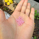25g Miyuki Rocaille 8/0 Seed Beads Opaque carnation Pink Alabaster RR-535