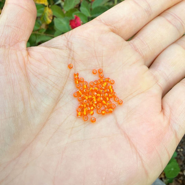 25g Miyuki Rocaille 11/0 Seed Beads Transparent Silver-lined Orange RR-8