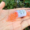 30g Miyuki Delica 11/0 Seed Beads, Translucent Luminous Dyed Orange DB2047