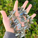 Natural Labradorite Gemstone Stick Point Beads, Irregular, 7mm-23mm Long, Hole ID 1mm 1 Strand/15 Inch, GZ5-23