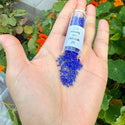 30g Miyuki Delica 11/0 Seed Beads, Opaque Rainbow Cobalt Luster DB216