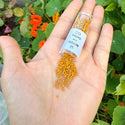 7.5g Miyuki Delica 11/0 Seed Beads, Duracoat Opaque Hawthorne DB2106