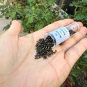 30g Miyuki Delica 11/0 Seed Beads, Opaque Metallic Iris Brown DB7