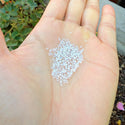 50g Miyuki Rocaille 15/0 Round Seed Bead Silver-lined Opal Alabaster RR-551