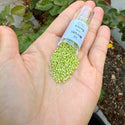 7.5g Miyuki Delica 11/0 Seed Beads, Opaque Glazed Luster Chartreuse DB262