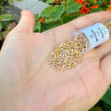 7.5g Miyuki Delica 11/0 Hex Cut Seed Beads, 24kt Light Gold Plated DBC34