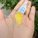 7.5g Miyuki Delica 11/0 Seed Beads, Yellow-Lined Rainbow Crystal Clear DB53