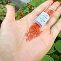 30g Miyuki Delica 11/0 Seed Beads, Duracoat Opaque Orange Terracotta DB2352