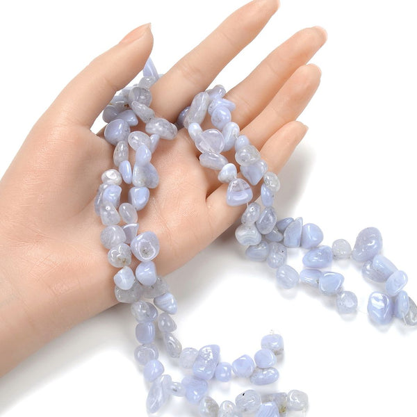 Natural Blue Lace Agate Gemstone Petal Keishi Beads, Irregular, 10mm-20mm, Hole ID 1mm, 1 Strand/15 Inch, GZ6-1