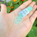 7.5g Miyuki Delica 11/0 Seed Beads, Opague Mint Green Silk Satin DB828 1