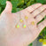 Jonquil Yellow AB
