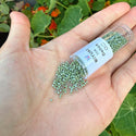 30g Miyuki Delica 11/0 Seed Beads, Opaque Glazed Cactus Luster DB263-1