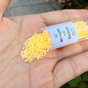 30g Miyuki Delica 11/0 Seed Beads Translucent Luminous Dyed Sun Glow DB2032