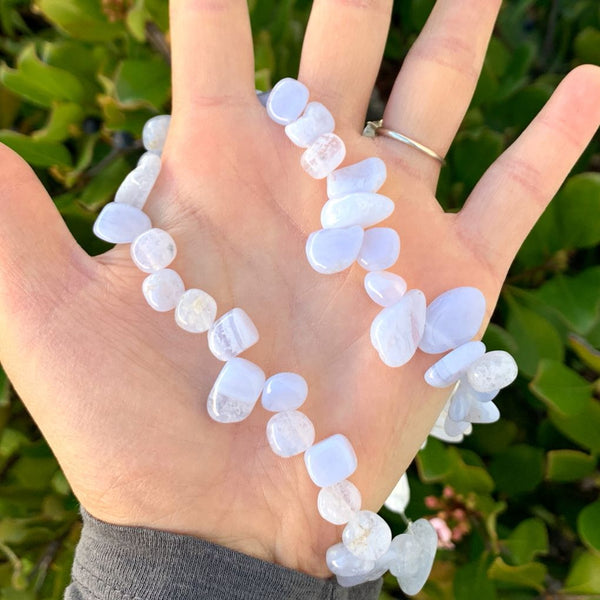 Natural Blue Lace Agate Gemstone Petal Keishi Beads, Irregular, 10mm-20mm, Hole ID 1mm, 1 Strand/15 Inch, GZ6-1