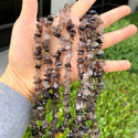 Natural Smoky Quartz Gemstones Chip Beads, Free Form, 5mm-8mm, Hole ID 1mm, 1 Strand/31 Inch, GZ1-18
