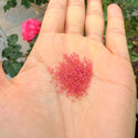 25g Miyuki Rocaille 15/0 Seed Bead Light Cranberry-lined Luster Topaz RR363