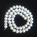 Adabele Natural Grade A Potato Round Pearl Beads, White Cultured Freshwater Pearls, 7- 8mm, 1 Strand/14 Inch, FP2-78