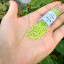 7.5g Miyuki Delica 11/0 Seed Beads, Opaque Chartreuse (Lime Green) DB733