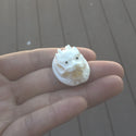 1pc Beautiful Dragon King Hand Carved White Buffalo Bone Drop Pendant, Symbol of Strength Prosperity Pendant, with Sterling Silver Bail, 1.2 Inch, BP-80