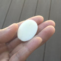 1pc Beautiful Dragon King Hand Carved White Buffalo Bone Drop Pendant, Symbol of Strength Prosperity Pendant, with Sterling Silver Bail, 1.2 Inch, BP-80