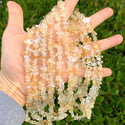 Natural Light Yellow Citrine Crystal Gemstones Chip Beads, Free Form, 5mm-8mm, Hole ID 1mm, 1 Strand/31 Inch, GZ1-31