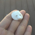1pc Beautiful Artist Bear King Hand Carved White Buffalo Bone Drop Pendant, Symbol of Strength Prosperity Pendant, with Sterling Silver Bail, 1 Inch, BP-83