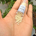 7.5g Miyuki Delica 10/0 Tube Seed Beads, Opaque Ivory DBM732