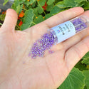 7.5g Miyuki Delica 11/0 Seed Beads, Transparent Silver Lined Purple DB1347