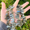 Natural Labradorite Gemstone Stick Point Beads, Irregular, 7mm-23mm Long, Hole ID 1mm 1 Strand/15 Inch, GZ5-23