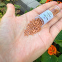 7.5g Miyuki Delica 11/0 Seed Beads, Duracoat Opaque Light Maple DB2107