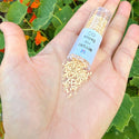 30g Miyuki Delica 11/0 Seed Beads, Opaque Matte Pear DB1581