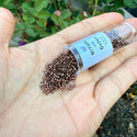 7.5g Miyuki Delica 11/0 Seed Beads, Nickel-Plated Dyed Cinnamon Brown DB460