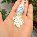 10g Miyuki Half Tila Seed Beads 5x2.3mm, Opaque Matte Ivory (HTL-2021)