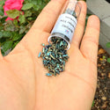 10g Miyuki Quarter Tila Seed Beads 5x1.2mm Matte Metallic Iris Green Patina QTL2008