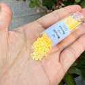 30g Miyuki Delica 11/0 Seed Beads Translucent Luminous Dyed Sun Glow DB2032