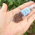 30g Miyuki Delica 11/0 Seed Beads, Opaque 24Kt Gold Plated Iris Red DB506