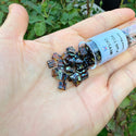 10g Miyuki Full Tila Square Seed Beads 5x5mm, Picasso Amber Brown (TL-4502)