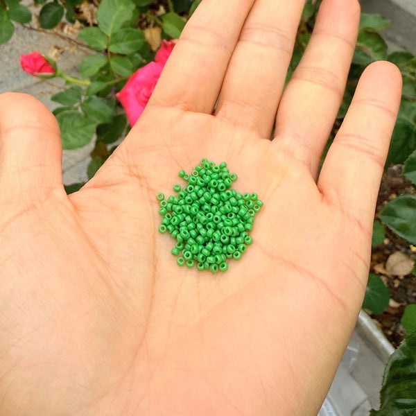 25g Miyuki Rocaille 11/0 Round Seed Beads Opaque Green RR-411