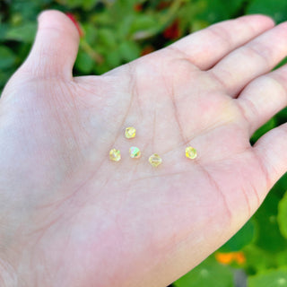 Buy jonquil-yellow-ab 100pcs Adabele Austrian Faceted Bicone Crystal Beads with AB Coating, 4mm Small Tiny, Hole ID 0.9mm, | U Pick Color