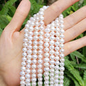 Adabele Natural Grade A Potato Round Pearl Beads, White Cultured Freshwater Pearls, 7- 8mm, 1 Strand/14 Inch, FP2-78