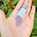 30g Miyuki Delica 11/0 Seed Beads, Opaque Matte Mauve (Lilac) DB758