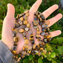 Natural Gold Yellow Tigers Eye Gemstone Petal Keishi Beads, Irregular, 10mm-20mm, Hole ID 1mm, 1 Strand/15 Inch, GZ6-7