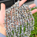 Natural Dalmatian Jasper Gemstone Chip Beads, Free Form, 5mm-8mm, Hole ID 1mm, 1 Strand/31 Inch, GZ1-3